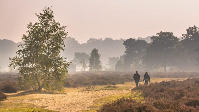 Couple walking along path through heathland
